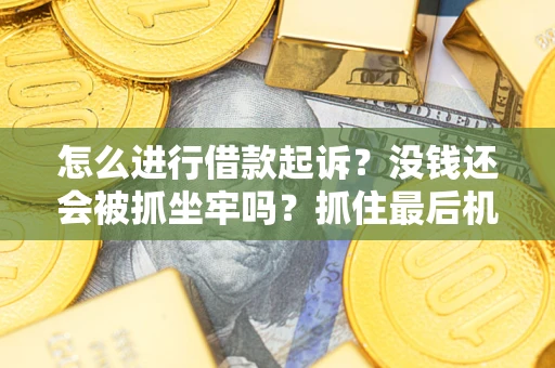 北京怎么进行借款起诉？没钱还会被抓坐牢吗？抓住最后机会！