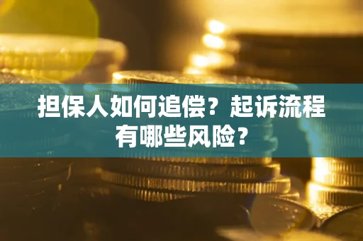 北京担保人如何追偿？起诉流程有哪些风险？
