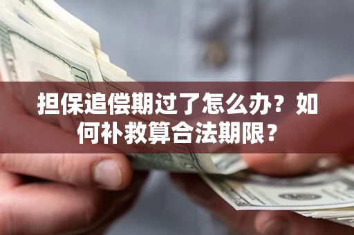 北京担保追偿期过了怎么办？如何补救算合法期限？