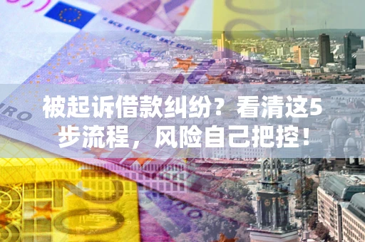 北京被起诉借款纠纷？看清这5步流程，风险自己把控！