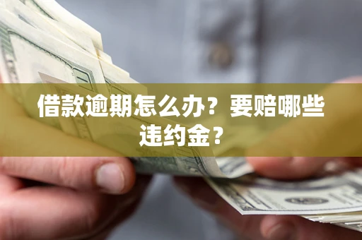 北京借款逾期怎么办？要赔哪些违约金？